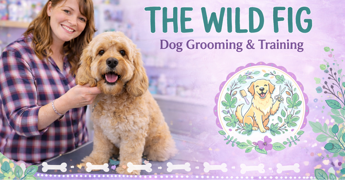Grooming & Training Terms Of Business