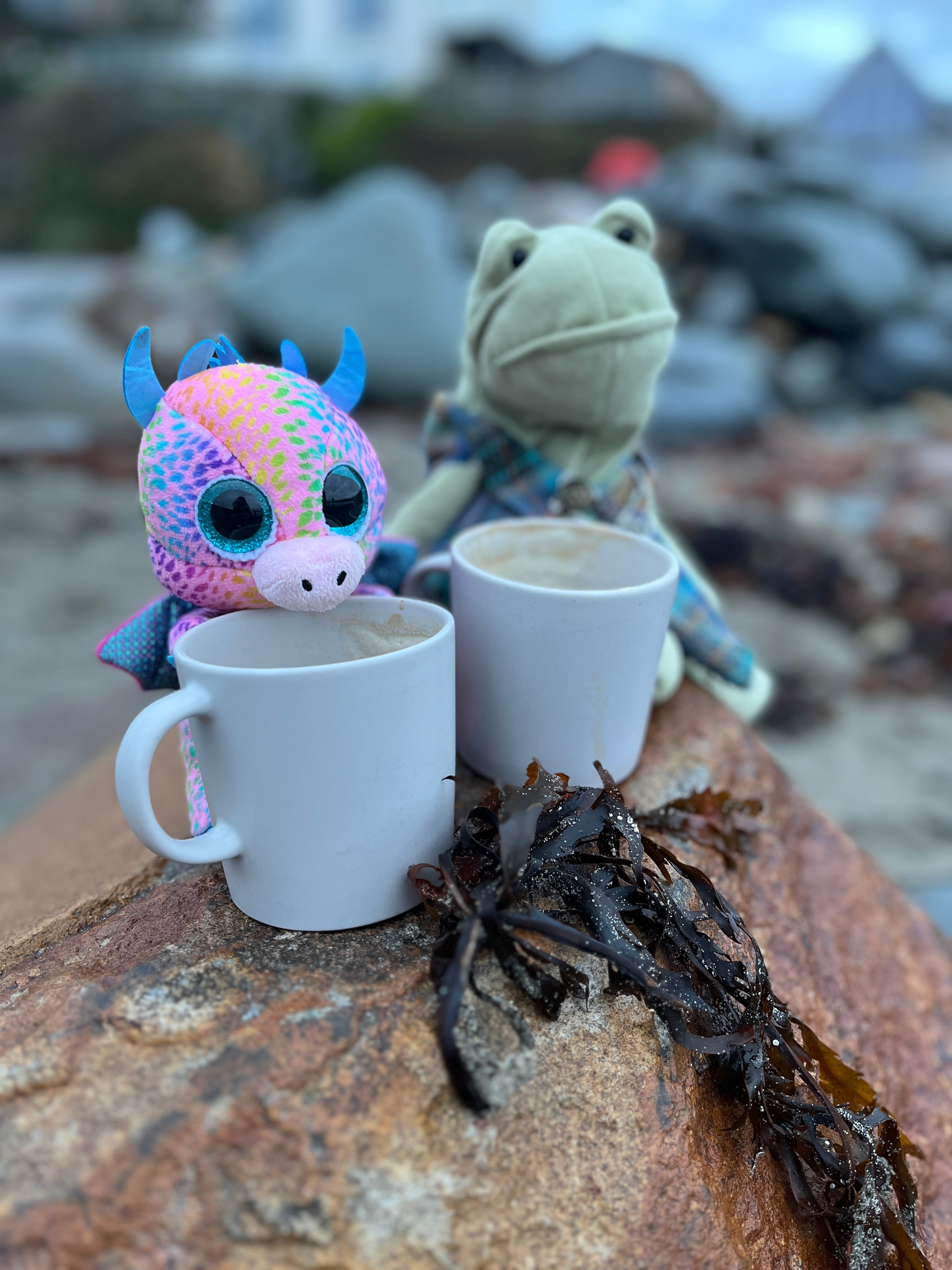 Pampering Body & Mind - The Wild Fig & Fern, UK Artist Based In Market Harborough From A Shop offering Stay & Create, Rutland, Oakham, Leicestershire, Art Snail Mail