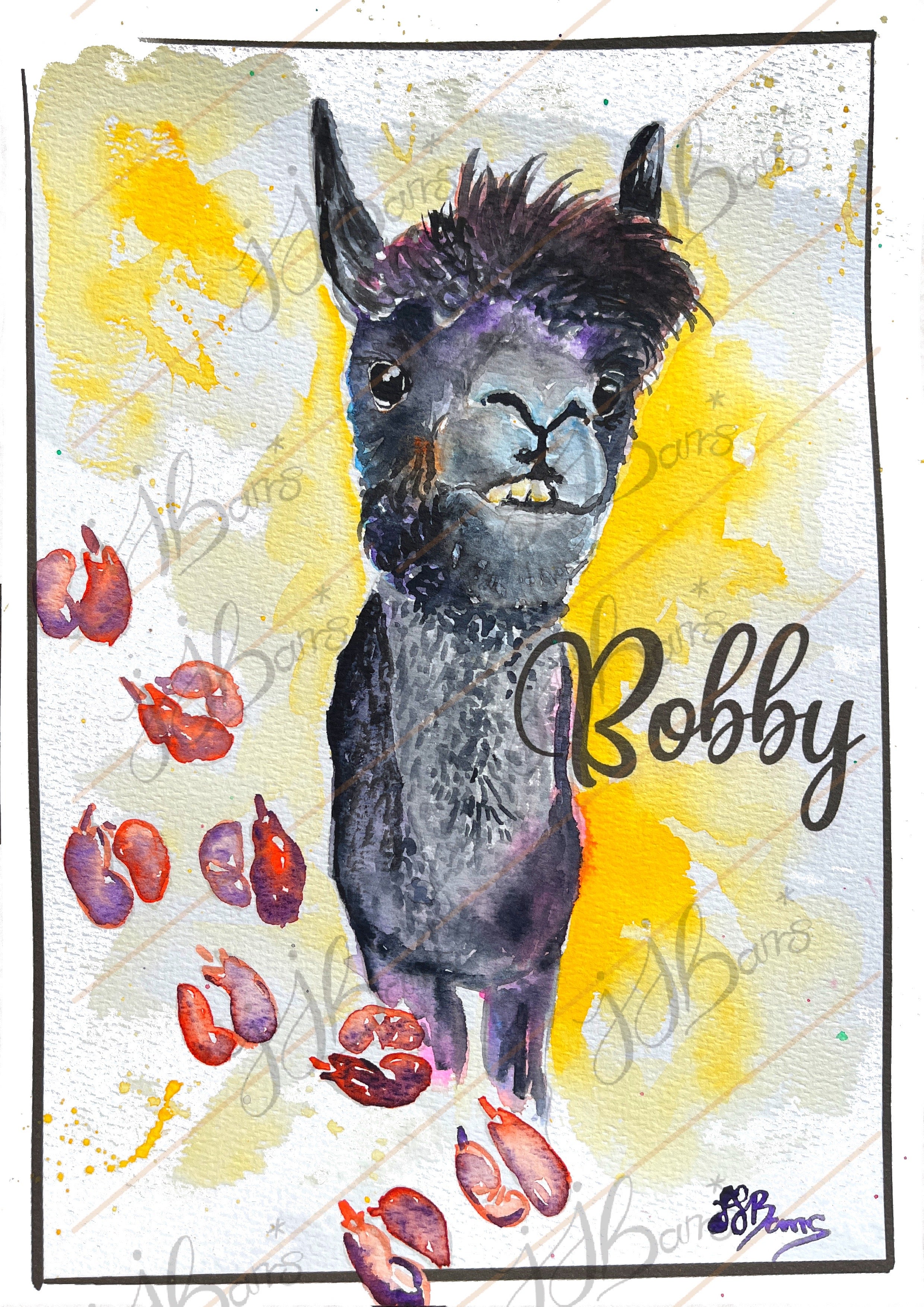 Bobby Alpaca Fine Art Print A4 Rushfield alpacas