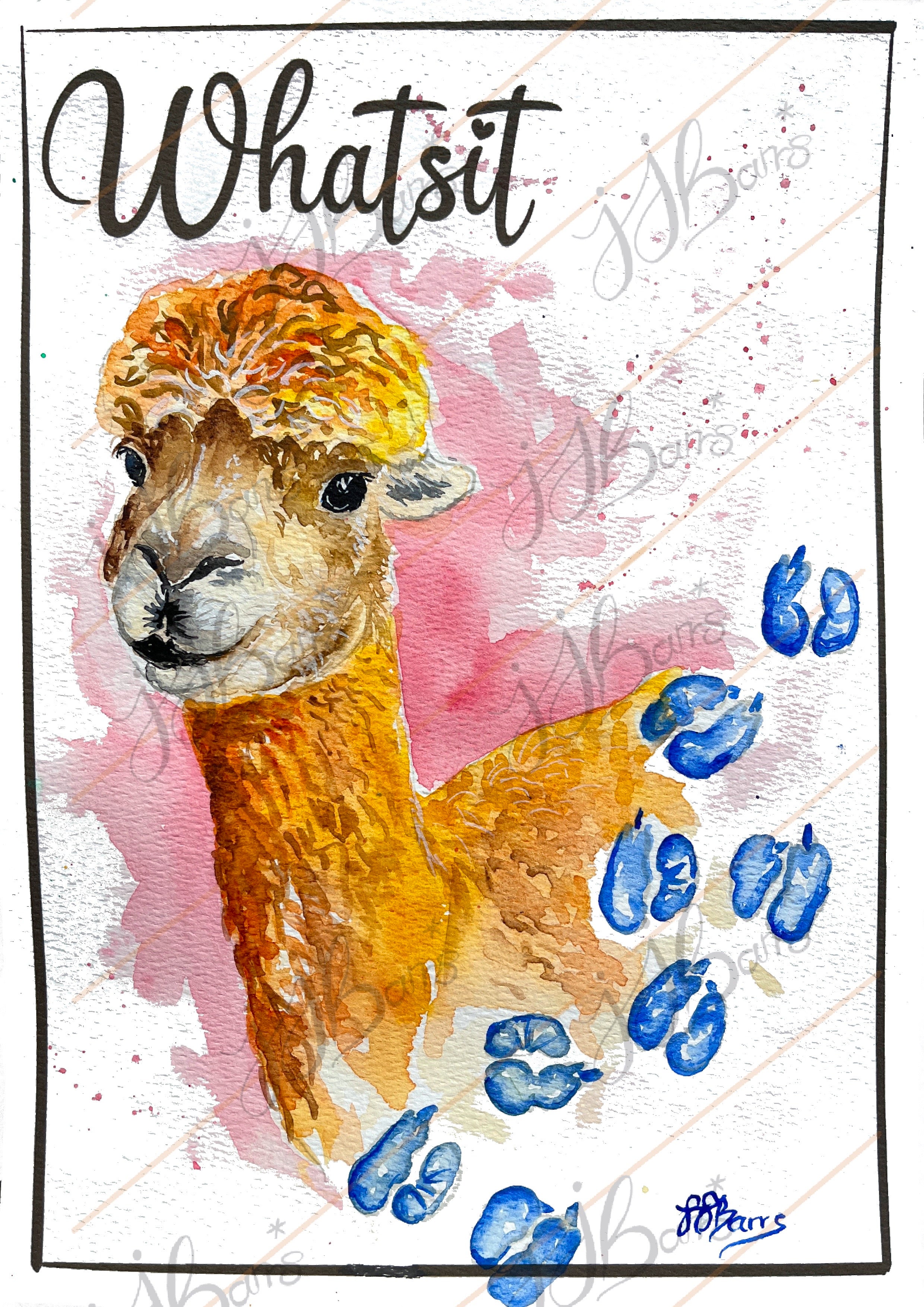 Whatsit Alpaca Fine Art Print A4 Rushfield alpacas