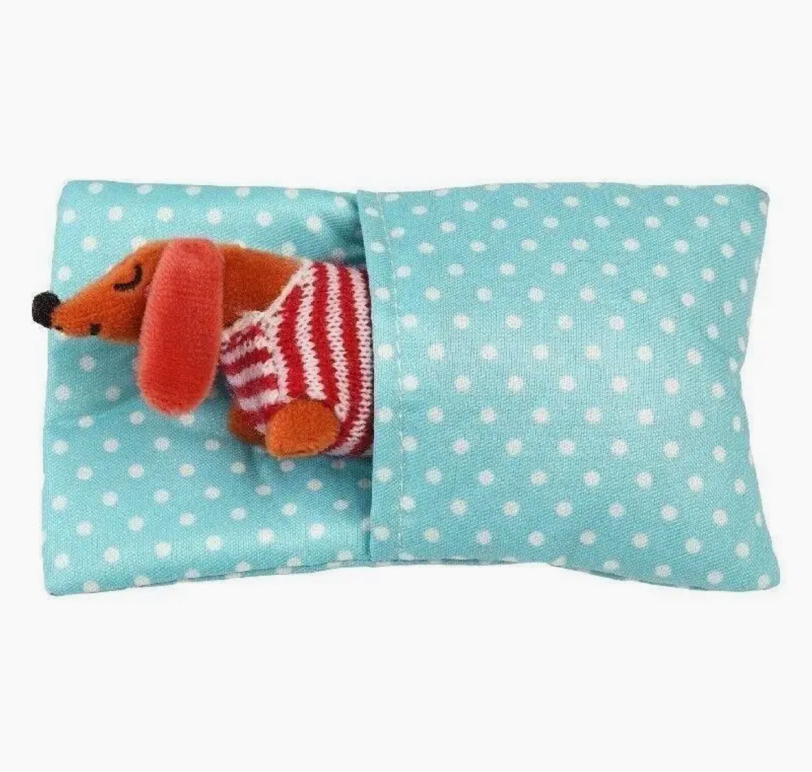 Mini Sausage Dog in a Cute little Box