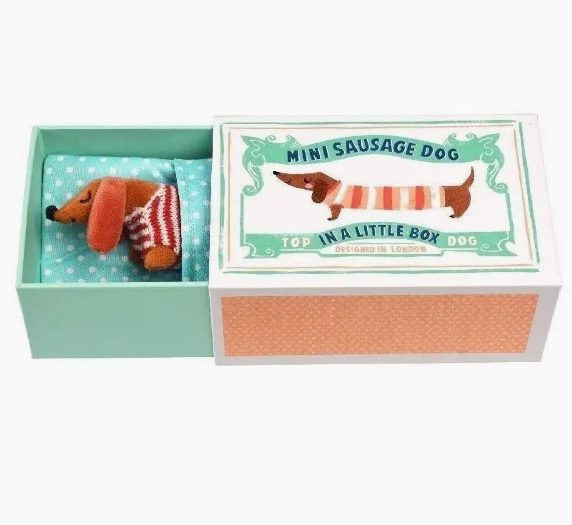 Mini Sausage Dog in a Cute little Box