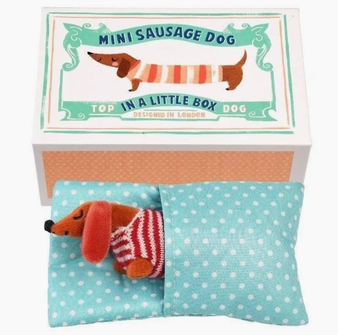 Mini Sausage Dog in a Cute little Box