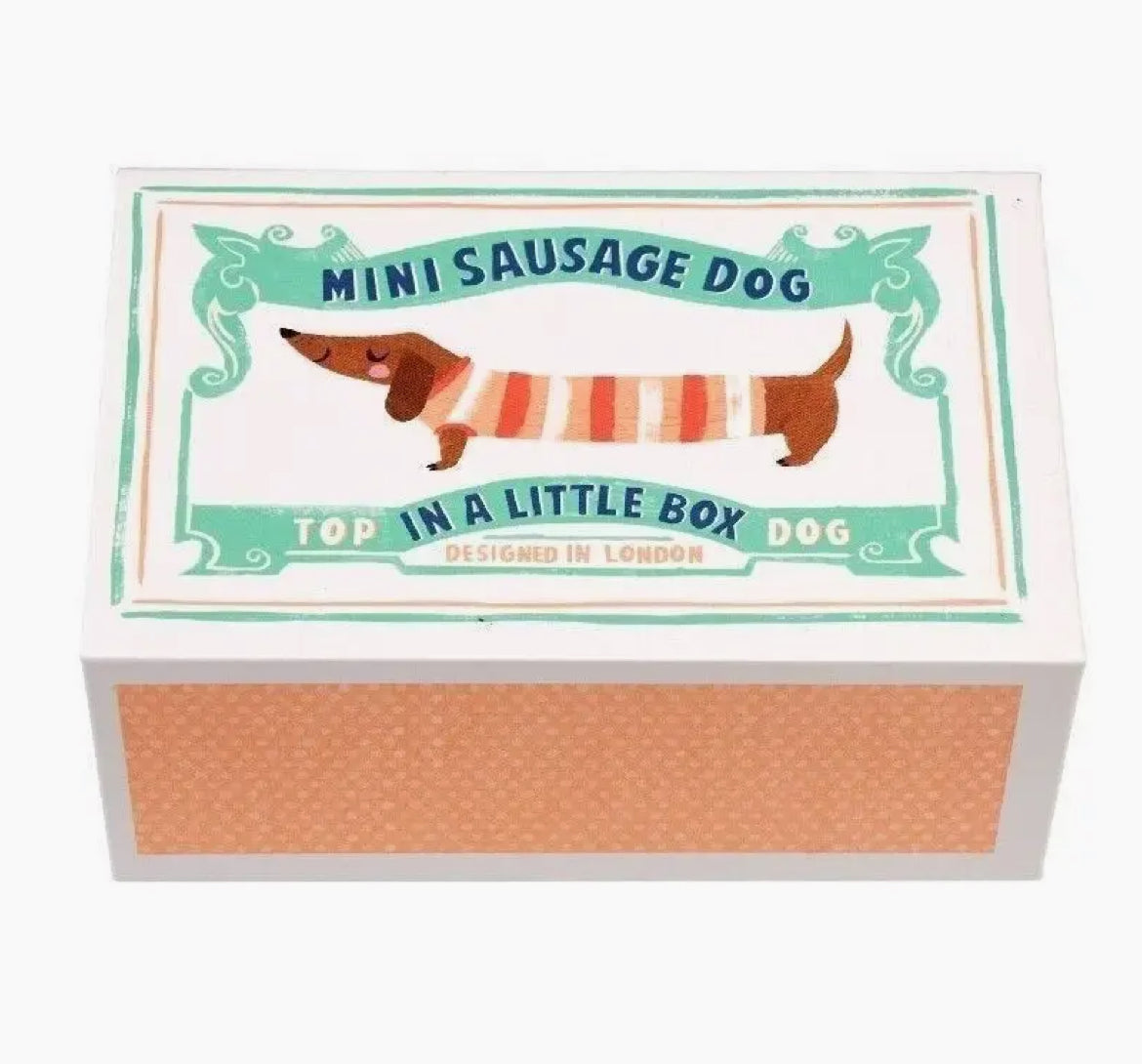 Mini Sausage Dog in a Cute little Box