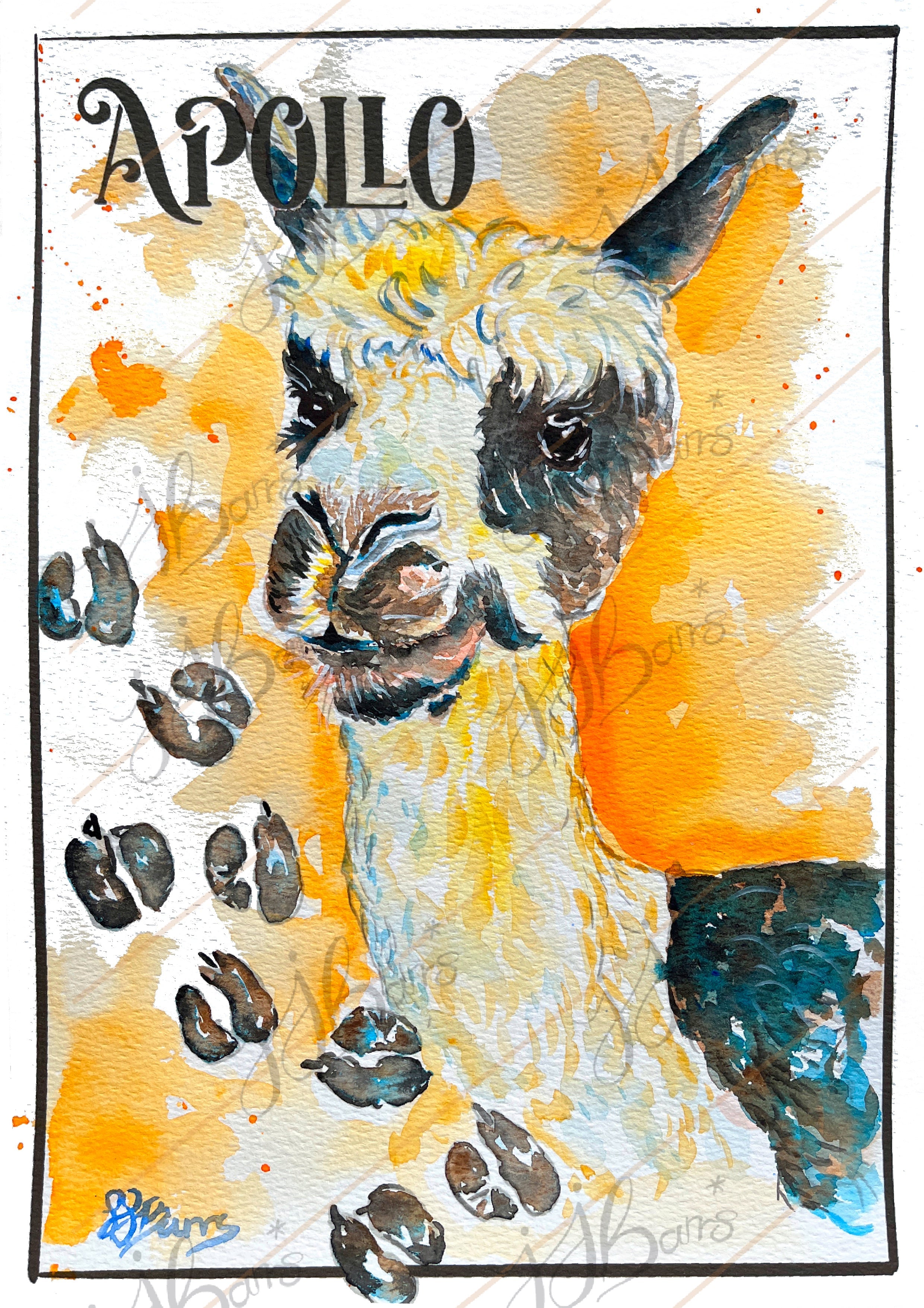 Apollo Alpaca Fine Art Print-The Wild Fig &amp; Fern