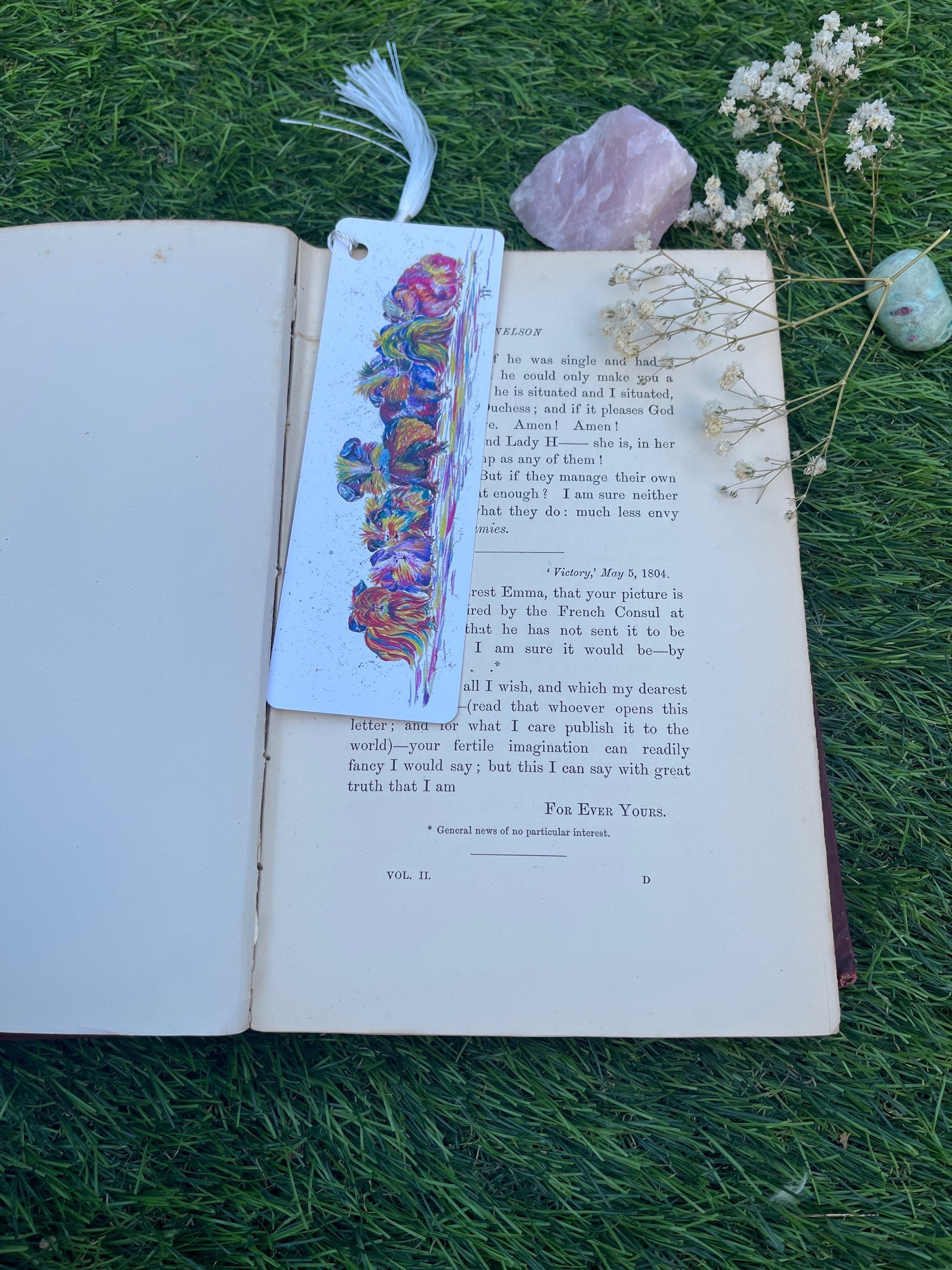 Guinea pig line up Bookmark,-The Wild Fig &amp; Fern