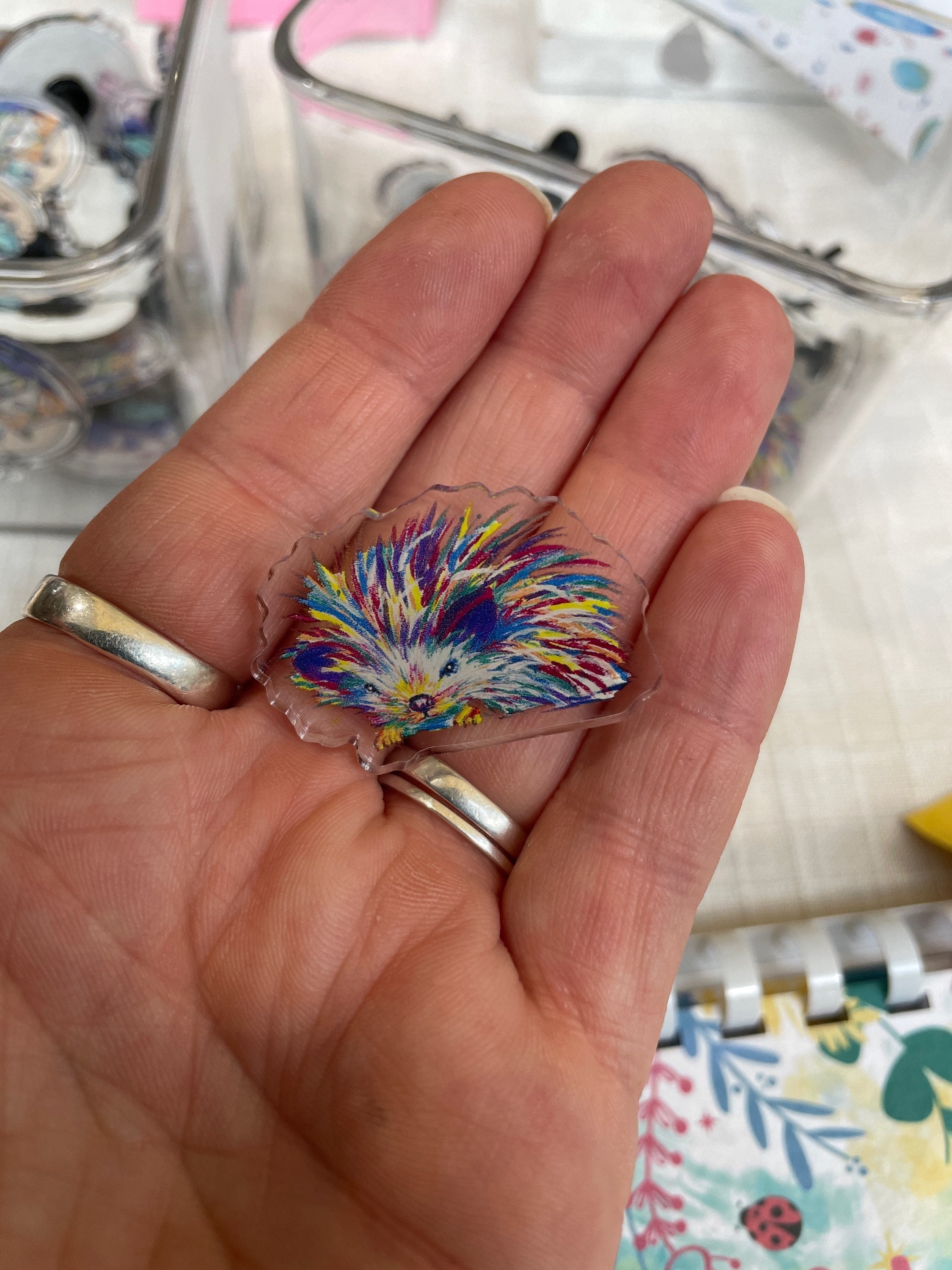 Hedgehog pin badge-The Wild Fig &amp; Fern