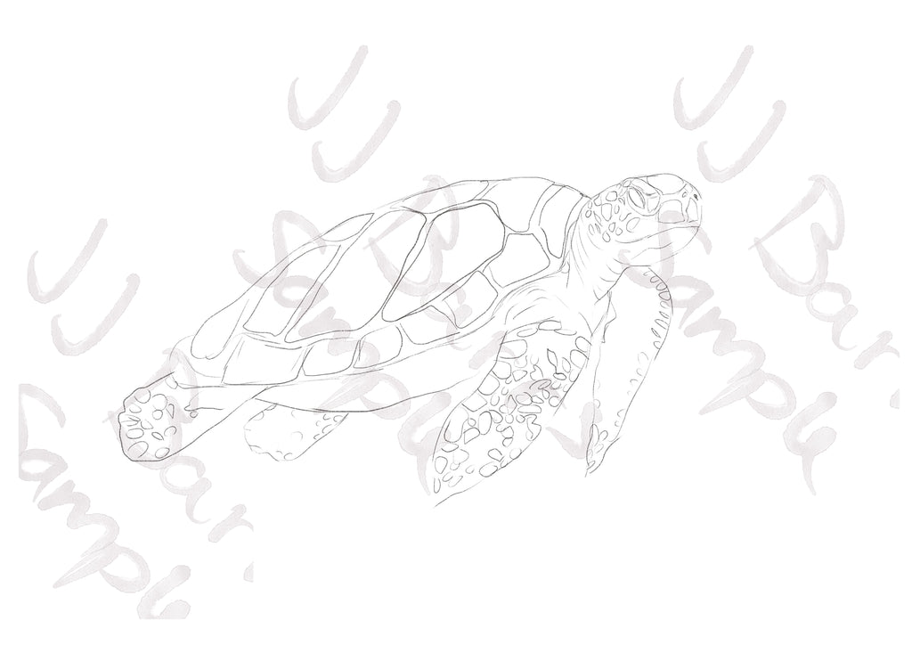 Watercolour Outline Paint Your Own At Home-The Wild Fig &amp; Fern
