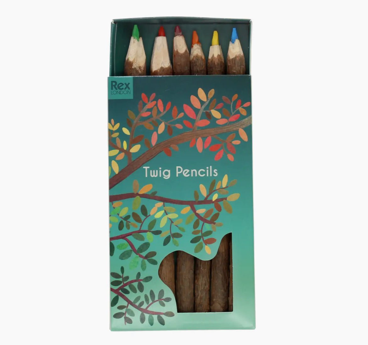 Wooden Twig Colouring Pencils-The Wild Fig &amp; Fern