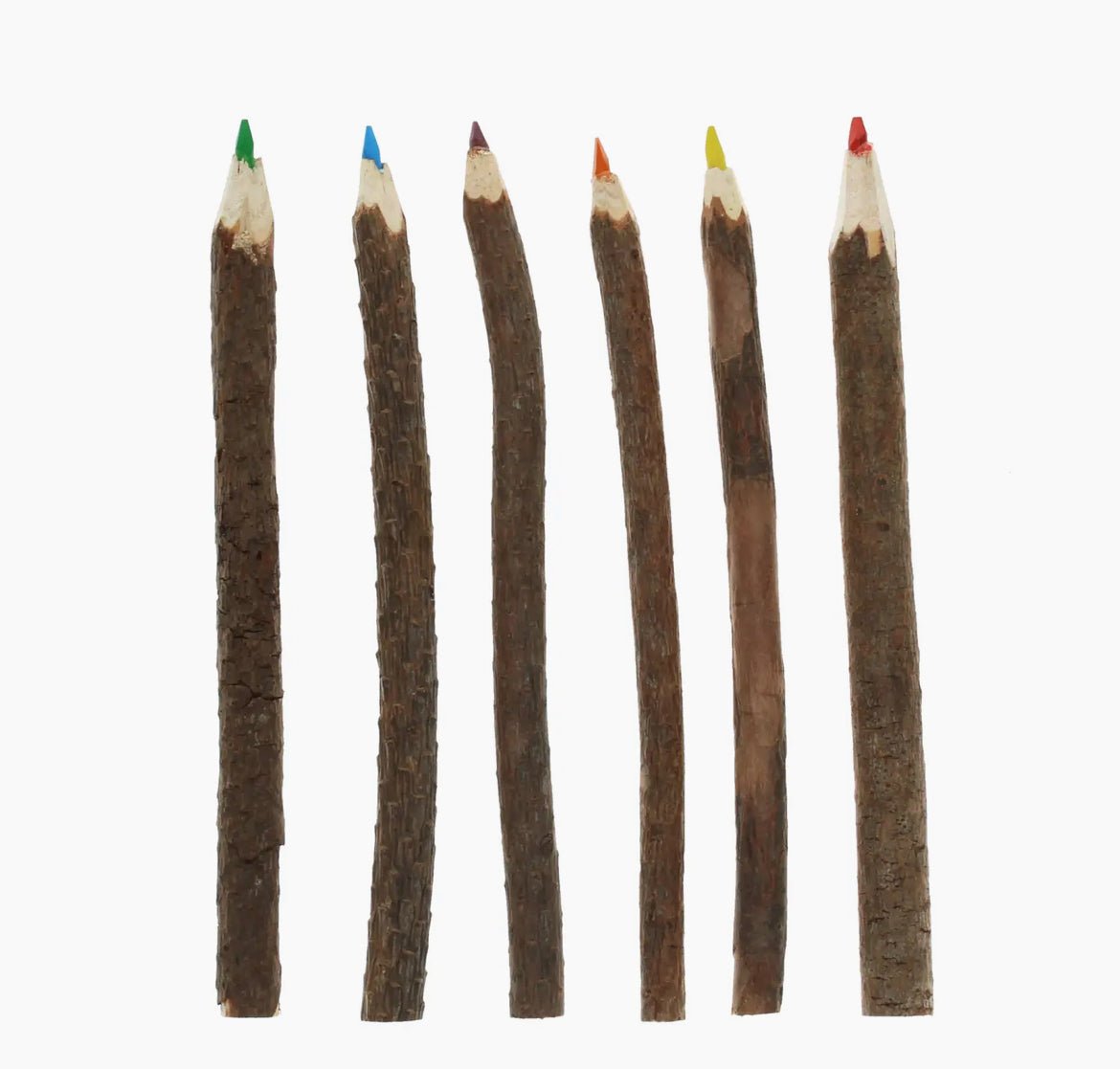 Wooden Twig Colouring Pencils-The Wild Fig &amp; Fern